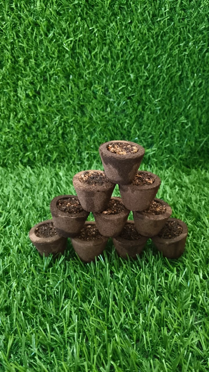 Dhasangam Cup Sambrani – 25 pcs (250 grams) - Image 2